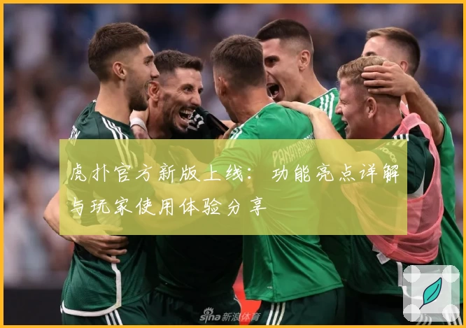 虎扑官方新版上线：功能亮点详解与玩家使用体验分享