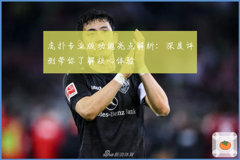 虎扑专业版功能亮点解析:深度评测带你了解核心体验