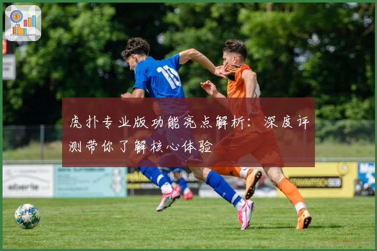 虎扑专业版功能亮点解析：深度评测带你了解核心体验