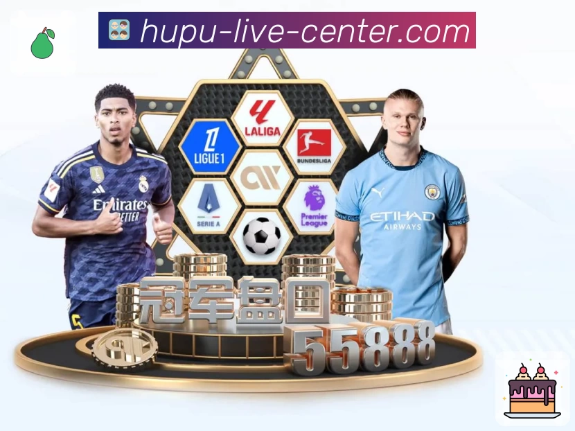 App Interface Preview